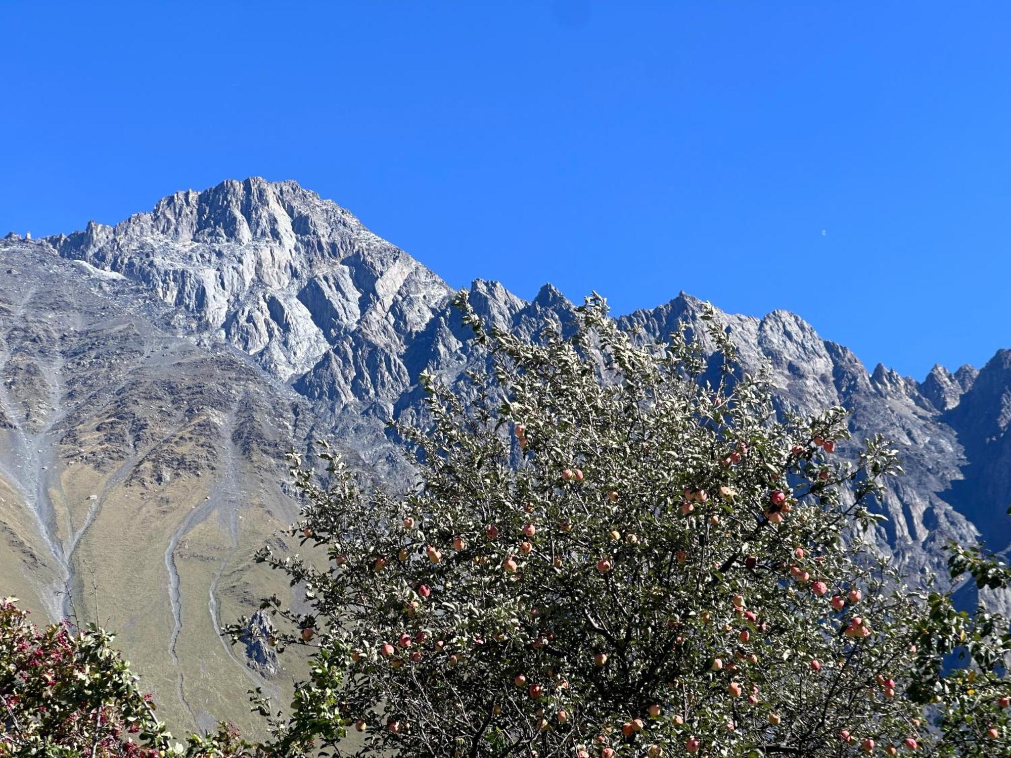 Hotel Mountime Kazbegi Esterno foto